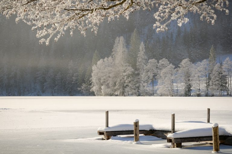 Winterlandschaft am See